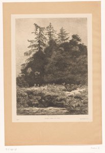Jeleń na skraju lasu Daims dans un parc (tytuł na obiekcie) autorstwa Karl Bodmer