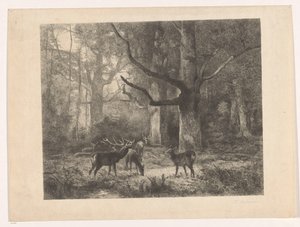 Jeleń w lesie autorstwa Karl Bodmer