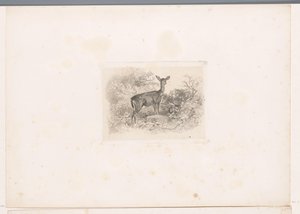 Hindus w lesie Krajobrazy ze zwierzętami (tytuł serii) autorstwa Karl Bodmer