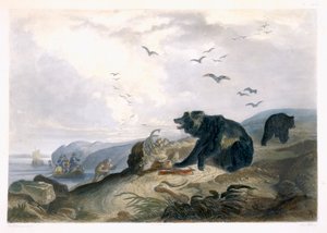 Polowanie na niedźwiedzia grizzly, tablica 36 z tomu 2 "Podróży w głąb Ameryki Północnej", wyryta przez Lucasa Webera, 1844 (akwatinta) autorstwa Karl Bodmer