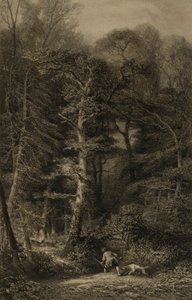 Wnętrze lasu autorstwa Karl Bodmer