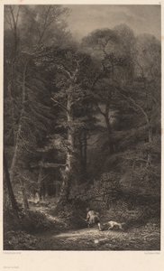 Wnętrze Lasu autorstwa Karl Bodmer