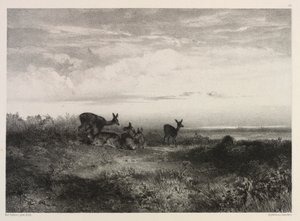 Krajobraz z jeleniem autorstwa Karl Bodmer