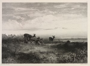 Krajobraz z jeleniem, ok. 1930 r. 1840. autorstwa Karl Bodmer