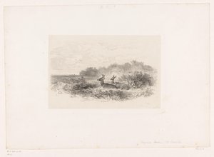 Krajobraz z dwoma jeleniami wirginijskimi Krajobrazy ze zwierzętami (tytuł serii) autorstwa Karl Bodmer