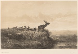 Poranek. autorstwa Karl Bodmer