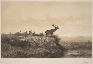  autorstwa Karl Bodmer