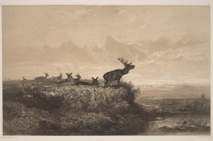  autorstwa Karl Bodmer