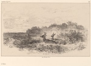 Reszta. autorstwa Karl Bodmer