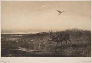 Le Soir.  Jeleń i czaple autorstwa Karl Bodmer