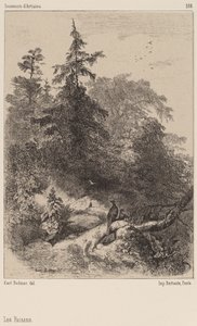 Bażanty. autorstwa Karl Bodmer