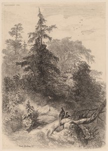 Bażanty autorstwa Karl Bodmer