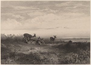 Łanie. autorstwa Karl Bodmer