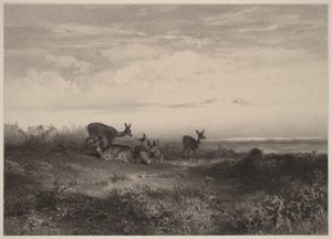  autorstwa Karl Bodmer