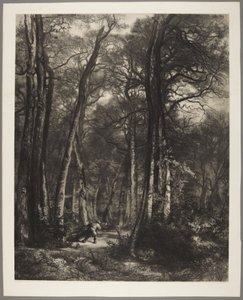Człowiek w lesie autorstwa Karl Bodmer