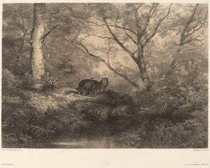 Markasyni autorstwa Karl Bodmer