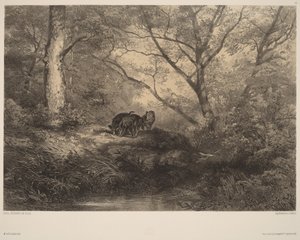  autorstwa Karl Bodmer