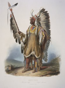 Mato-Tope, wódz mandanów, rytowany przez J. Hurlimana, opublikowany w 1839 (akwatinta)