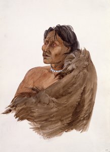  autorstwa Karl Bodmer