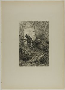 Pawie na konarze autorstwa Karl Bodmer