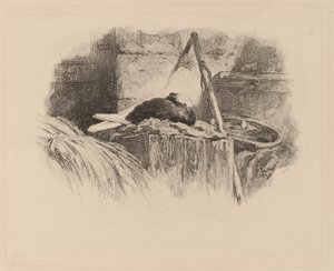 Gołąb na gnieździe. autorstwa Karl Bodmer