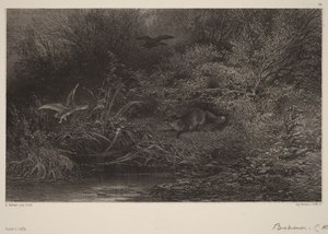  autorstwa Karl Bodmer