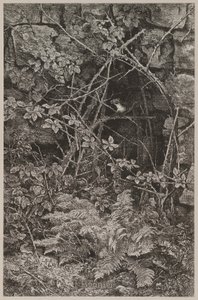  autorstwa Karl Bodmer
