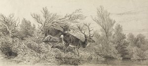  autorstwa Karl Bodmer