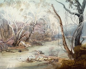 Rzeka Fox w pobliżu New Harmony, Indiana autorstwa Karl Bodmer