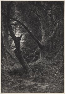 Dwa niedźwiedzie w lesie autorstwa Karl Bodmer