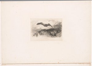 latający orzeł Krajobrazy ze zwierzętami (tytuł serii) autorstwa Karl Bodmer