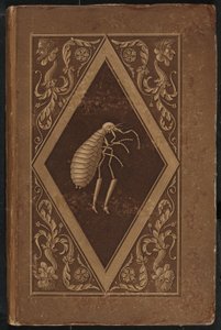 mistrzowska pchła. Bajka w siedmiu przygodach dwojga przyjaciół (Master Flea: Bajka w siedmiu przygodach dwojga przyjaciół) autorstwa Karl Friedrich Thiele, Ernst Theodor Amadeus Hoffmann