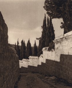 Jerozolima, Ogród Getsemani (zdjęcie czarno-białe) autorstwa Karl Grober