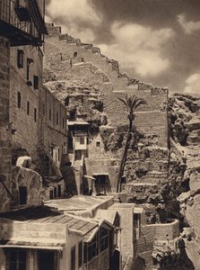 Mar Saba, Palma św. Sabasa (zdjęcie czarno-białe) autorstwa Karl Grober