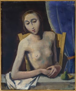 Dziewczyna przed zasłoną autorstwa Karl Hofer