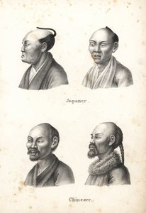 Popiersia Japończyków z fryzurą typu chonmage z czubkiem głowy i Chińczykami z brodami, jeden z warkoczem. Litografia Karla Josepha Brodtmanna z Ilustrowanej historii naturalnej ludzi i zwierząt Heinricha Rudolfa Schinza