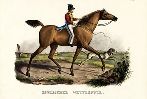 Angielski koń wyścigowy, 1824 autorstwa Karl Joseph Brodtmann
