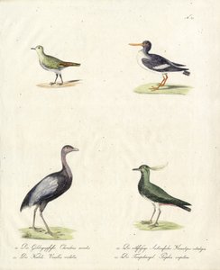  autorstwa Karl Joseph Brodtmann