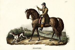 Hiszpański koń myśliwski, 1824 autorstwa Karl Joseph Brodtmann