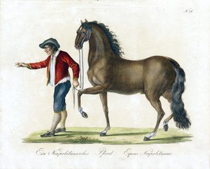  autorstwa Karl Joseph Brodtmann