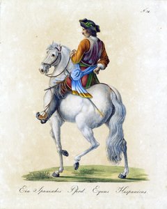  autorstwa Karl Joseph Brodtmann