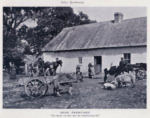Irlandzkie gospodarstwo rolne (zdjęcie czarno-białe)