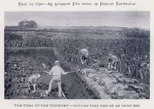 Węgiel kraju, cięcie darni na irlandzkim bagnie (zdjęcie czarno-białe)