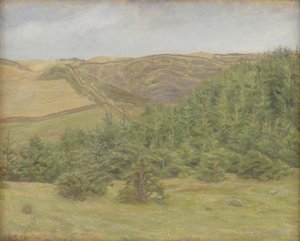 Svanninge Hills, Fionia