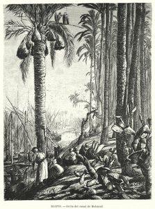 Brzegi Kanału Mahmoudiyah, Egipt (lito) autorstwa Karl Wilhelm Gentz