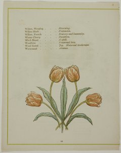 Dekoracyjna ilustracja z Iluminowanego języka kwiatów autorstwa Kate Greenaway