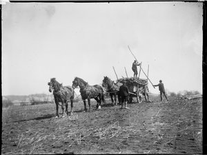 Broomfield, Broomfield And Kingswood, Maidstone, Kent, 06.04.1904 (czarno-białe zdjęcie)