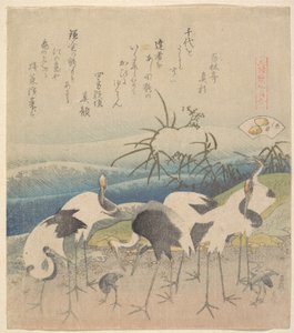 Małż Ashi, z serii „Genroku Kasen Kai-awase” autorstwa Katsushika Hokusai