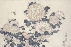 Pszczoła i chryzantemy z serii „Duże kwiaty” (kolorowy drzeworyt) autorstwa Katsushika Hokusai