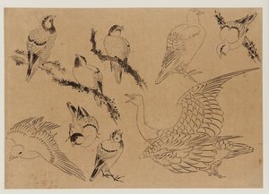 Ptaki, okres Edo, koniec XVIII – początek XIX wieku. autorstwa Katsushika Hokusai